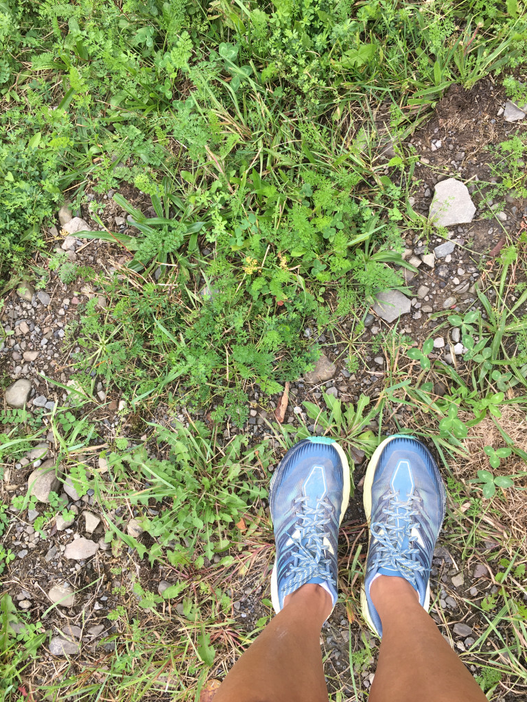 if-the-shoe-fits-trails-collective